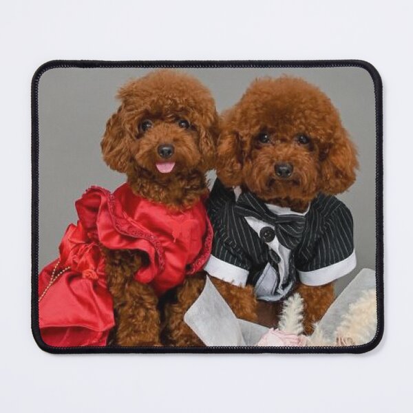 Item preview, Admired Poodle Curly Haired Brown Fur Dogs designed and sold by Dolieart.