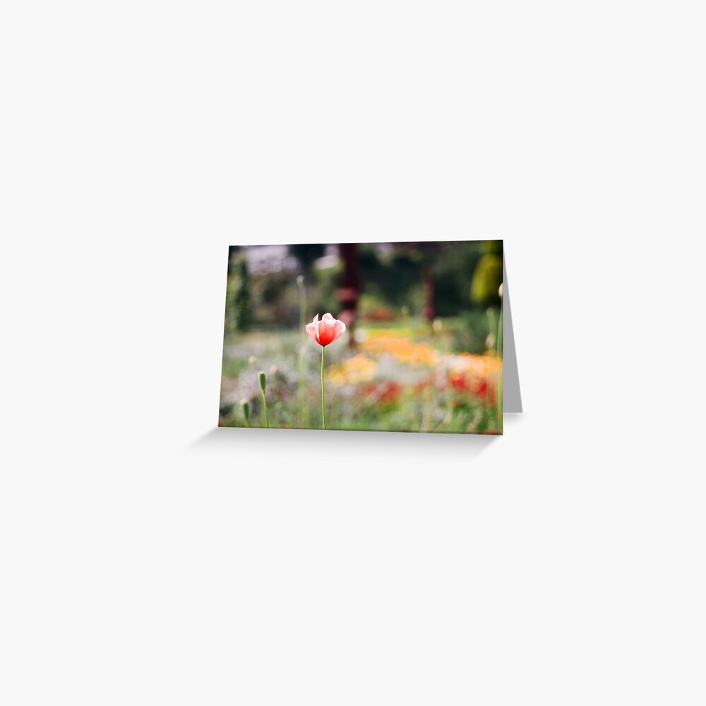Item preview, Greeting Card designed and sold by adamayokuy.