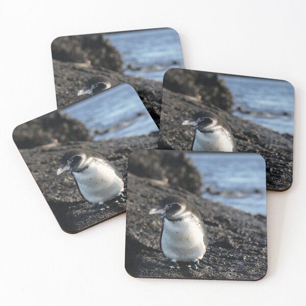 Item preview, Your GP is showing Galapagos Penguin designed and sold by SBPenguins.