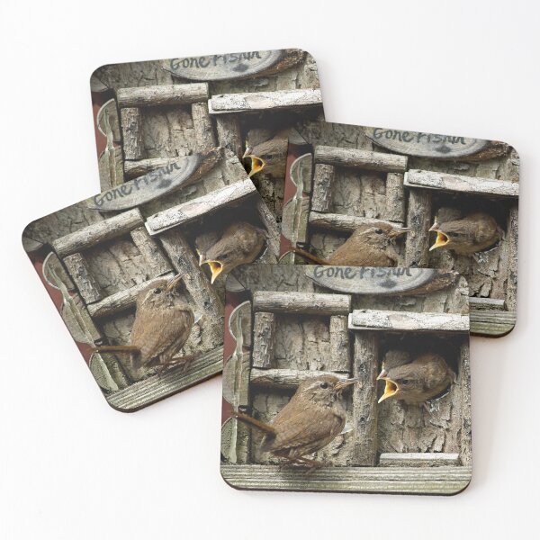 Item preview, Wren feeding young designed and sold by davejw.