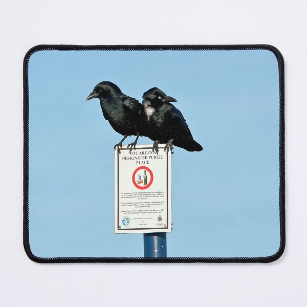 Item preview, Crows on a Signboard designed and sold by davejw.