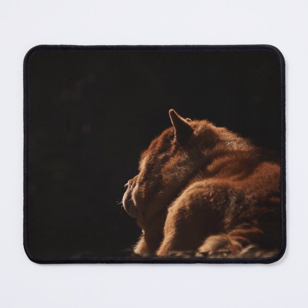 Item preview, Back portrait of a chow-chow dog designed and sold by Tamas KLAUSZ.