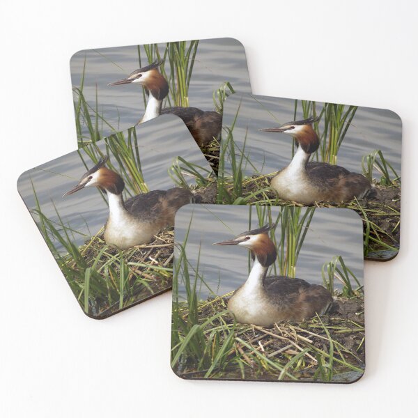 Item preview, Great Crested Grebe on nest 6 designed and sold by davejw.