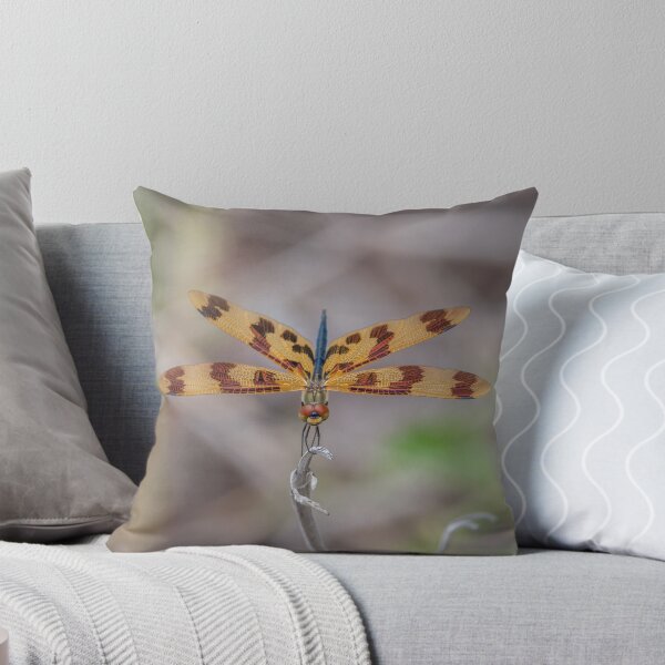 Item preview, Patiently designed and sold by 16images.