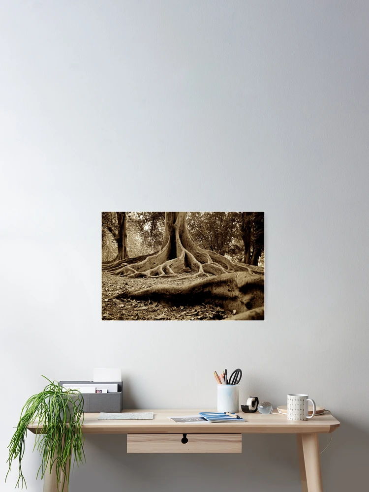 Thumbnail 2 of 3, Poster, Tree Roots designed and sold by D-GaP.