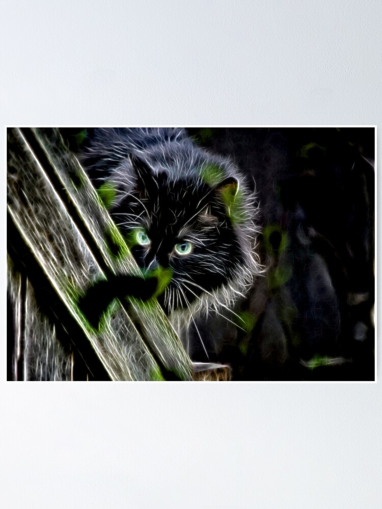 "Magic Cat Eyes" Poster by chrissaleh | Redbubble