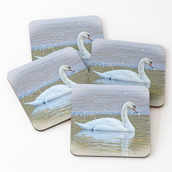Item preview, Swan Lake designed and sold by Martyn R Arnold Fine Art Nature & Landscape Photography.