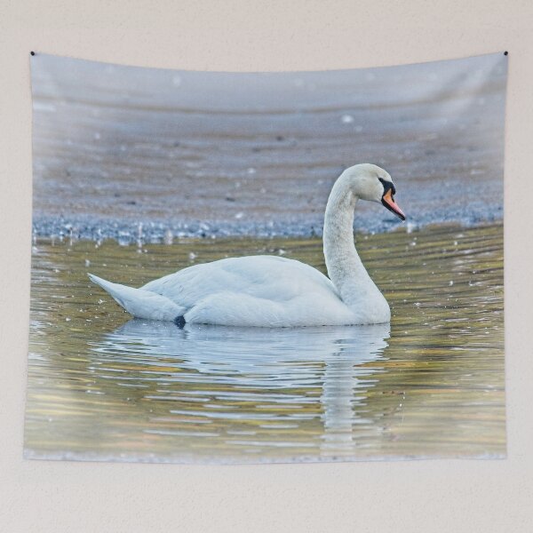 Item preview, Swan Lake designed and sold by Martyn R Arnold Fine Art Nature & Landscape Photography.
