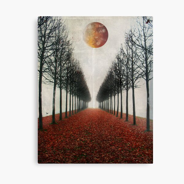 Bird Canvas Print