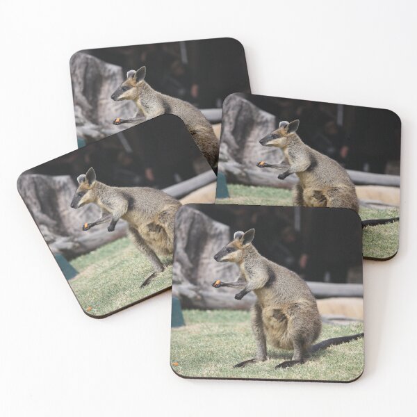 Item preview, Wallaby holding a carrot  designed and sold by wildphotosbyvis.
