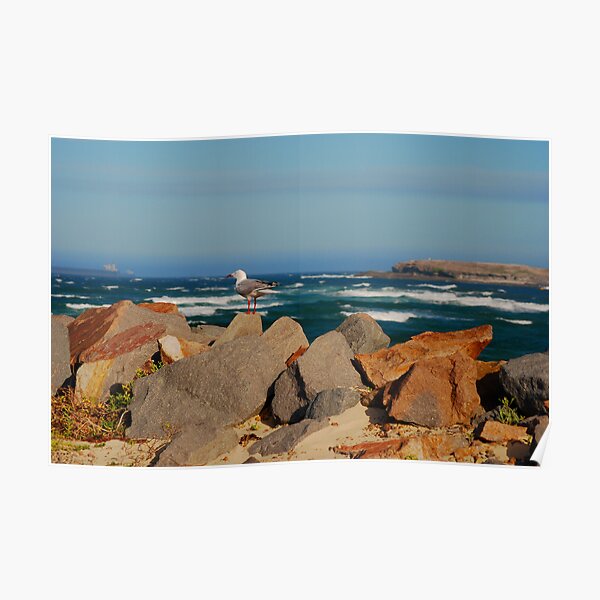 Blacksmiths Breakwall NSW Poster