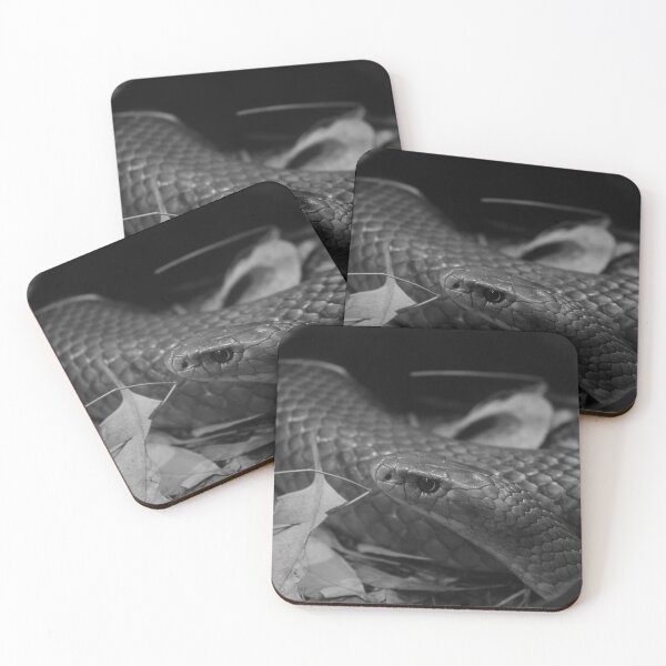 Item preview, Monochrome Eastern Brown Snake  designed and sold by wildphotosbyvis.