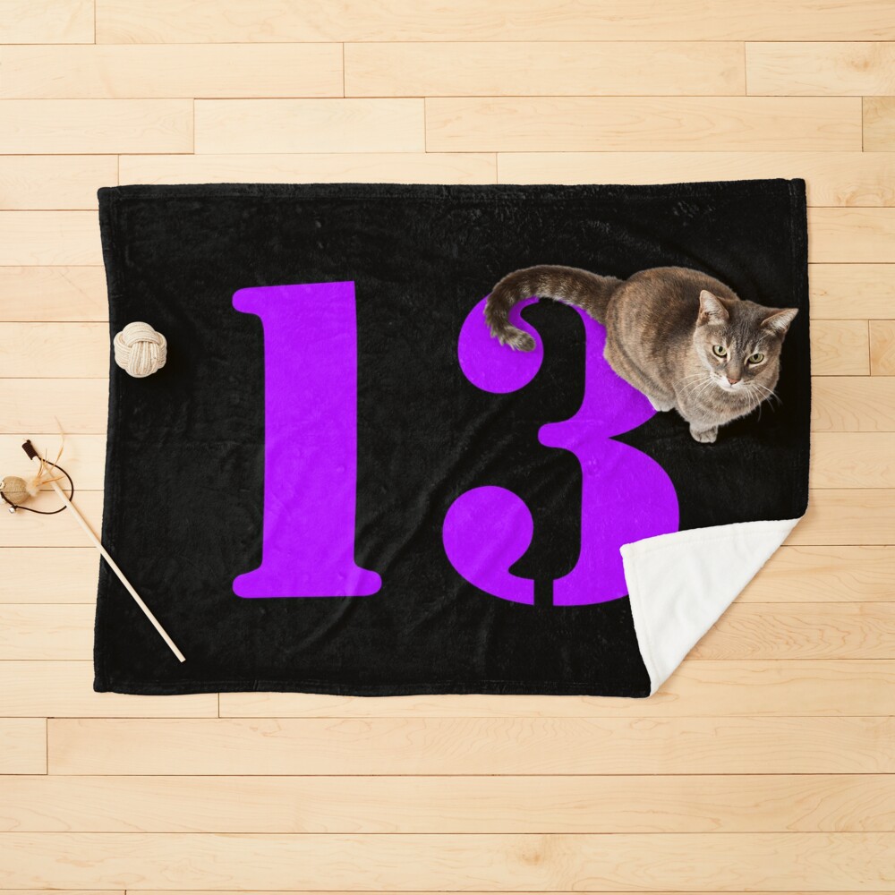 Number 13 - purple