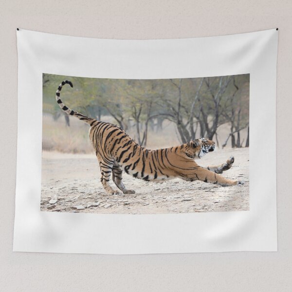 Item preview, Tigress Stretch designed and sold by Pravine Chester.