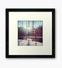 Winter Tree Framed Print