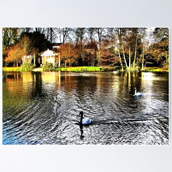 Item preview, Swan Lake designed and sold by A90Six.