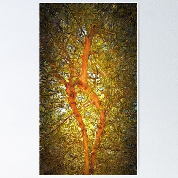 Olive Tree Abstract Poster