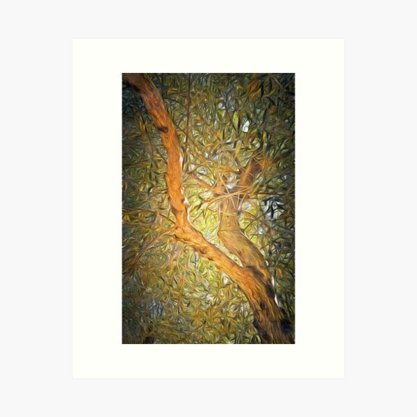 Olive Tree Abstract 2 Art Print