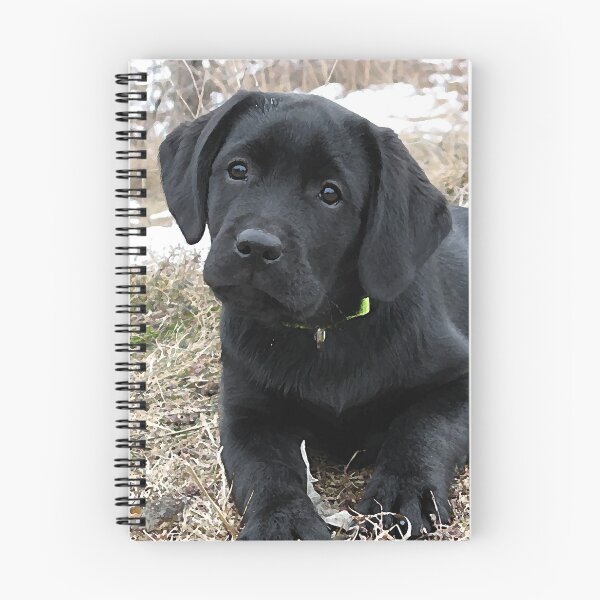 Item preview, Awaiting Spring - Black Labrador Puppy designed and sold by BlackDogArtJudy.