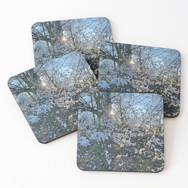 Item preview, Spring brings the Blossom designed and sold by Paddyb17.