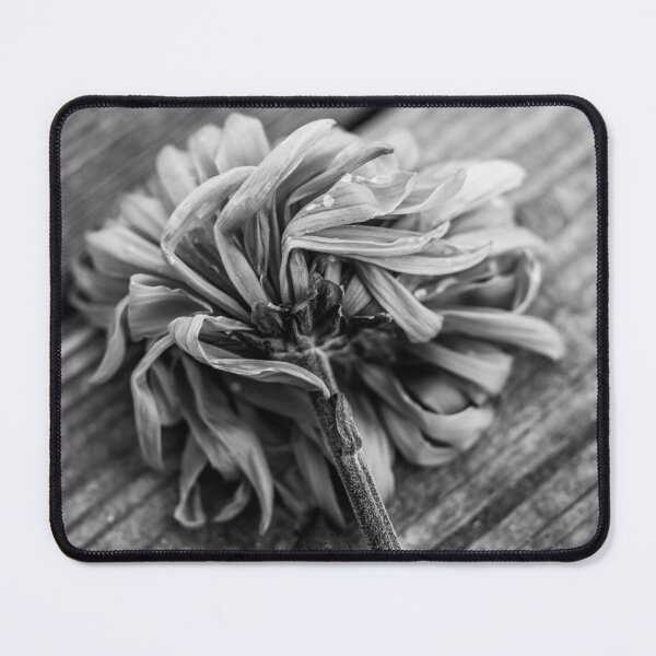 Item preview, Winter's Dreams Gone l Dahlia Photography designed and sold by KEnzPhotography.