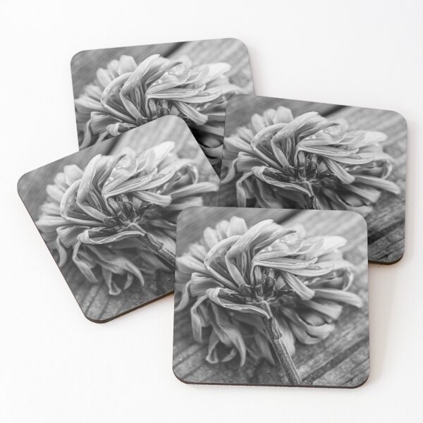 Item preview, Winter's Dreams Gone l Dahlia Photography designed and sold by KEnzPhotography.