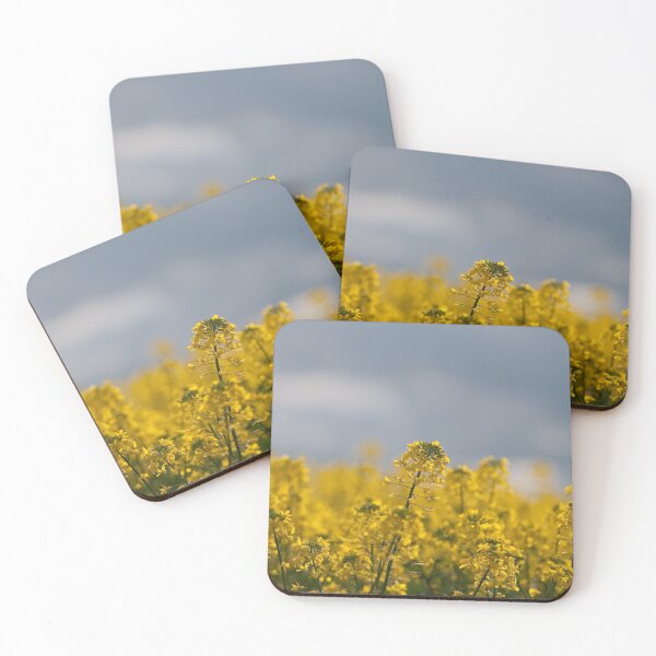 Item preview, Canola designed and sold by SusanAdey.