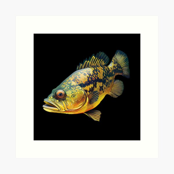 Peacock Bass Fishing Art Prints for Sale