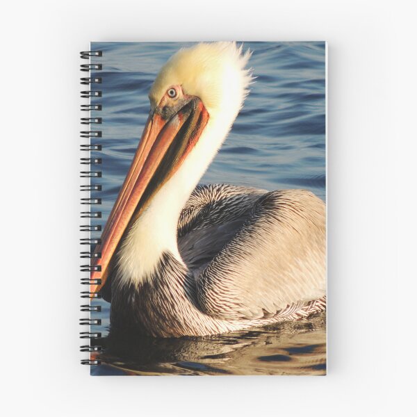 Item preview, My Handsome designed and sold by Robert Ball.