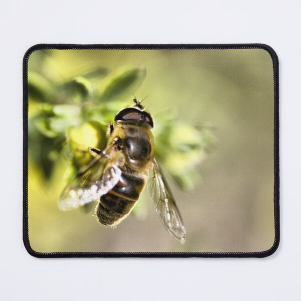 Item preview, Honey designed and sold by Paul Thompson Photography.