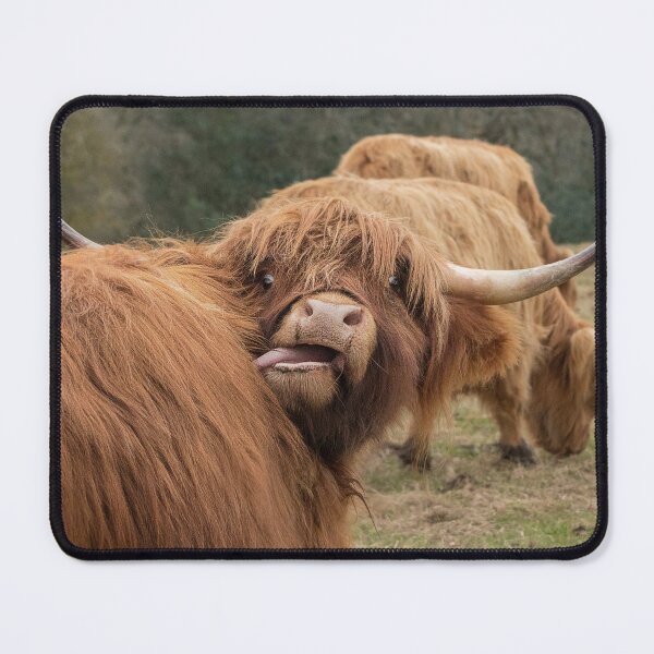 Item preview, Graciosa vaca escocesa Highland designed and sold by HaleyRedshaw.