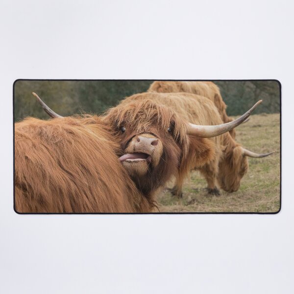 Item preview, Graciosa vaca escocesa Highland designed and sold by HaleyRedshaw.