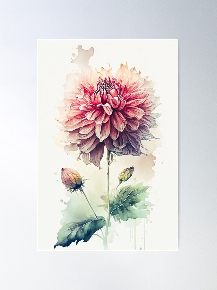 絵画　Dahlia 絵画 生き物 花 Dahlia Dahlia Flower Botanical Illustration