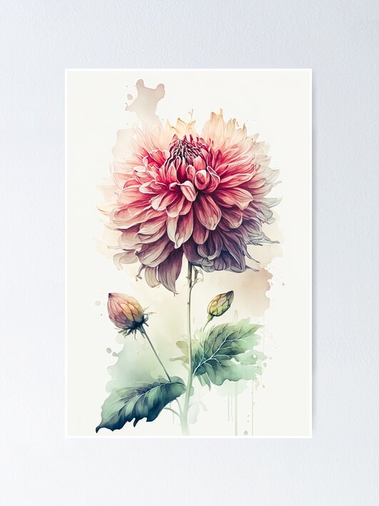 絵画　Dahlia Antique Botanical Print of Dahlia Flower, Framed - Bardith, Ltd.