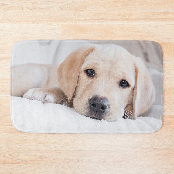 Item preview, Golden labrador puppy designed and sold by HaleyRedshaw.