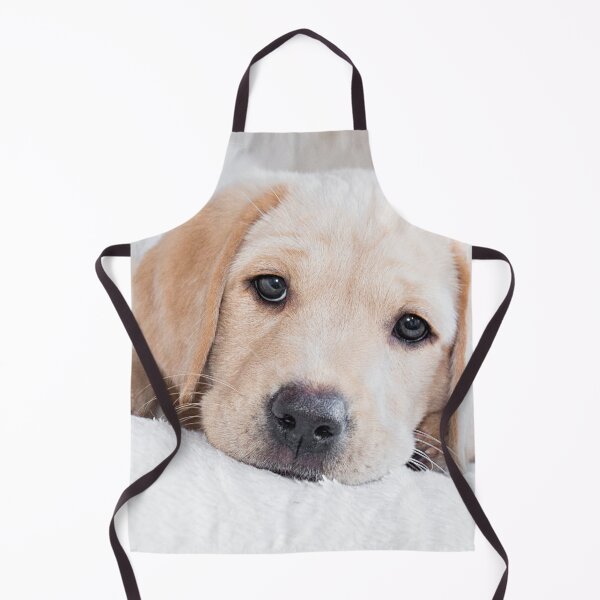 Item preview, Golden labrador puppy designed and sold by HaleyRedshaw.