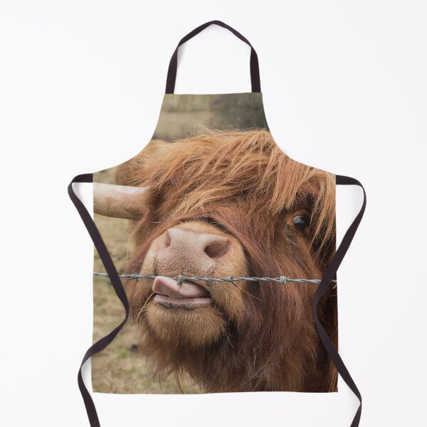 Aperçu de l'œuvre Vache écossaise créée et vendue par HaleyRedshaw.