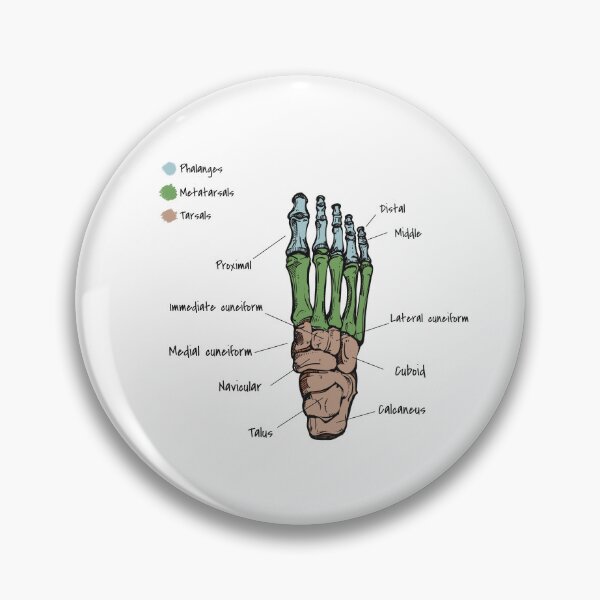 Item preview, Foot bones designed and sold by YouLightMeUp.