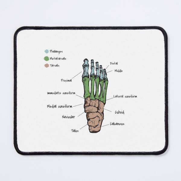 Item preview, Foot bones designed and sold by YouLightMeUp.