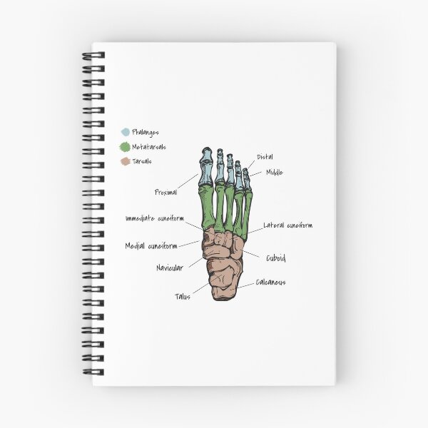 Item preview, Foot bones designed and sold by YouLightMeUp.