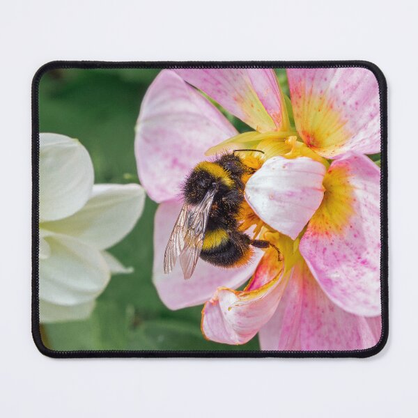 Item preview, Bee on the flower designed and sold by HaleyRedshaw.