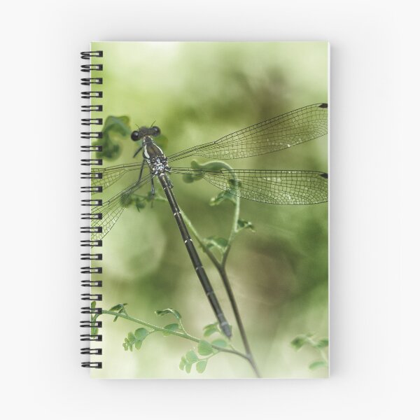 Item preview, A tiny one hidden in the green by the pond designed and sold by Clare Colins.