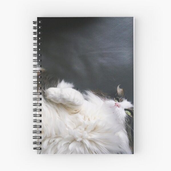 Item preview, What A Day For A Daydream - Maine Coon Cat Being Lazy  designed and sold by Fleurtje Eliza.