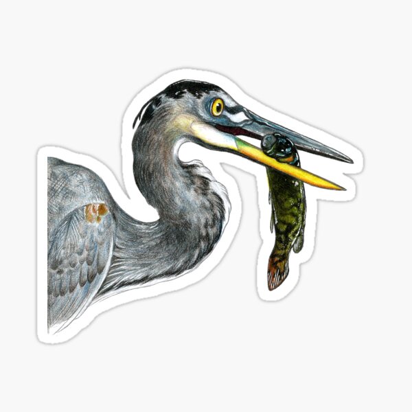 Item preview, Great Blue Heron Portrait designed and sold by Savannah Hoskinson.