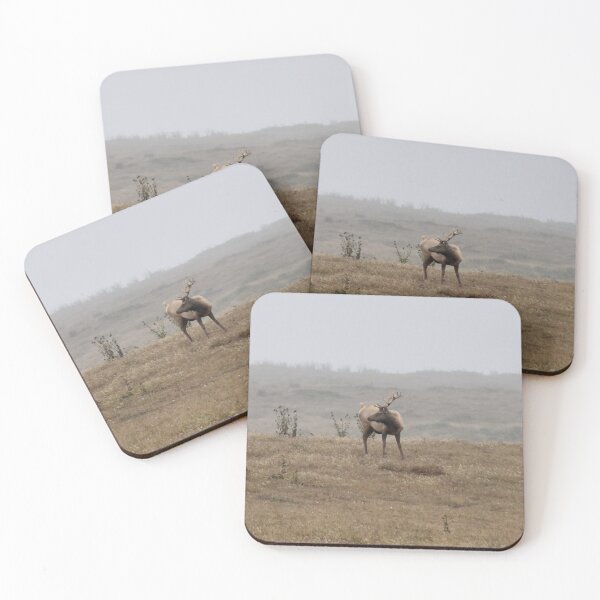 Item preview, tule elk in a field designed and sold by Ronifish.