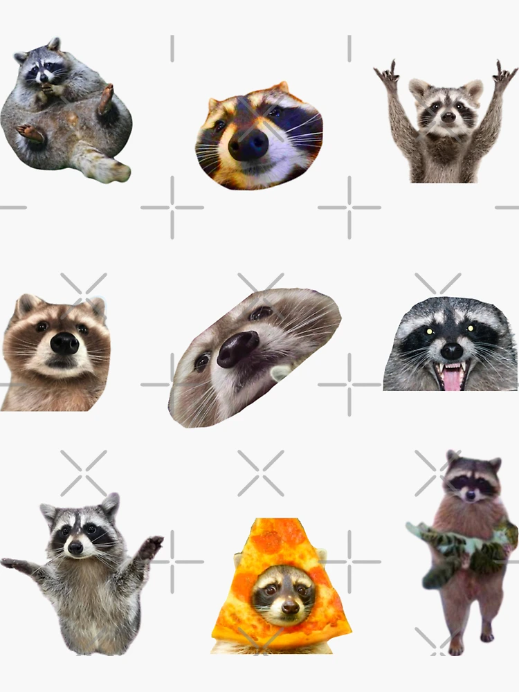 Raccoon Pack Sticker for Sale by lmmanning