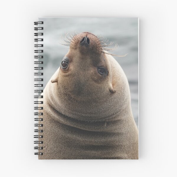 Item preview, Sea Lion being coy designed and sold by Michele Conner.