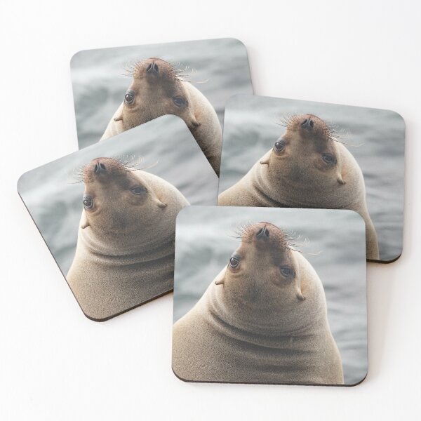 Item preview, Sea Lion being coy designed and sold by Michele Conner.