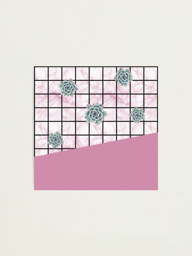 Alternate view of Succulents geometric composition - Antique Pink Photographic Print