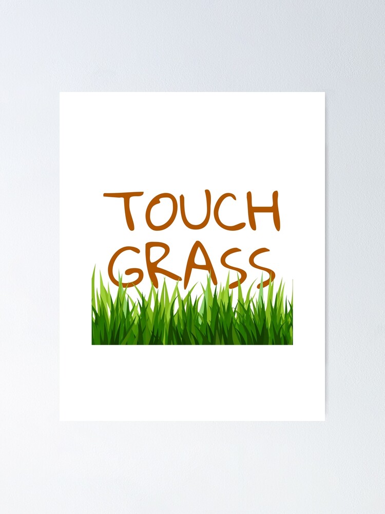 Touch Grass Meme Sticker | Poster